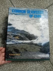COMMON SEAWEEDS OF CHINA 英文【中国普通海藻】