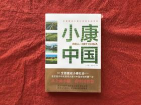 小康中国（汇聚有价值的经验，总结中国智慧的有效路径）