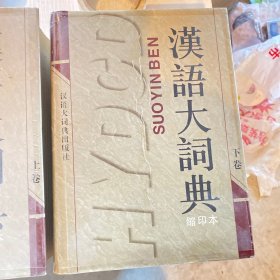汉语大词典（缩印本）上中下