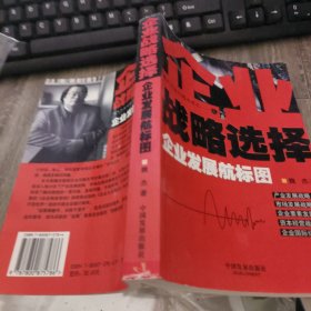 企业战略选择:企业发展航标图