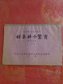 甜菜种子繁育 农业技术推广影片 完成台本 电影台本剧本 （1962电影老资料）