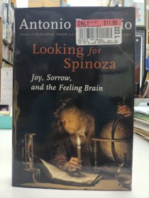 Looking for Spinoza:Joy, Sorrow, and the Feeling Brain