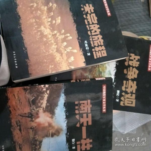 中国现代军事文学丛书·国内革命战争：南天一柱