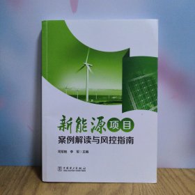 新能源项目案例解读与风控指南