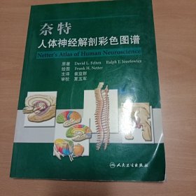 奈特人体神经解剖彩色图谱