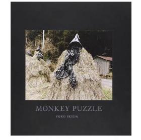 Yoko Ikeda池田叶子摄影作品集 Monkey Puzzle猴子谜题 摄影图书