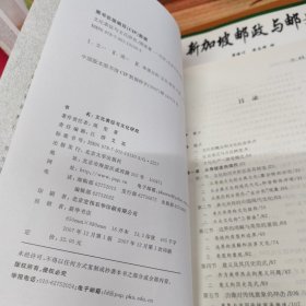 文化表征与文化研究