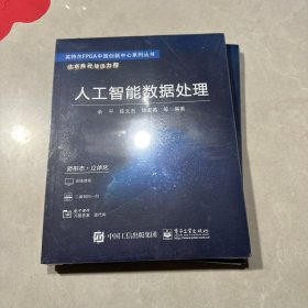 人工智能数据处理（未拆封）