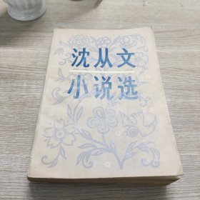 沈从文小说选