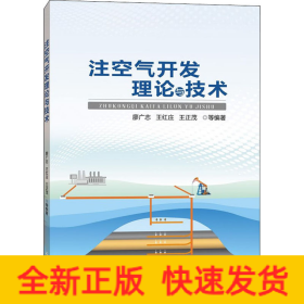 注空氣開發(fā)理論與技術(shù)