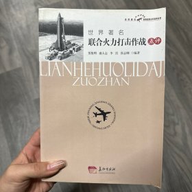 世界著名联合火力打击作战点评