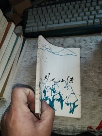 凡人小傳