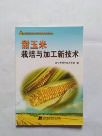 甜玉米栽培与加工新技术（封底上角有几页小折角。书里干净）