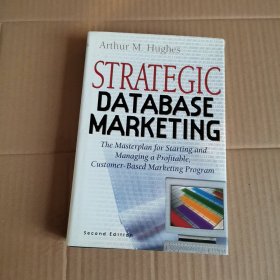 STRATEGIC DATABASE MARKETING（英文。战略数据库营销）