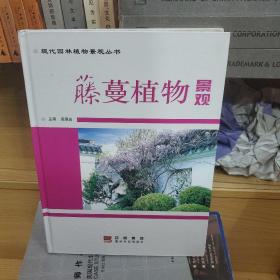 虅蔓植物景观/现代园林植物景观丛书