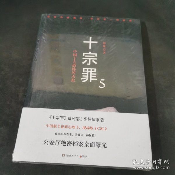 十宗罪5：中国十大凶杀案