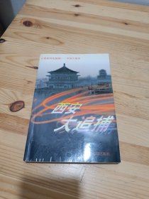 西安大追捕