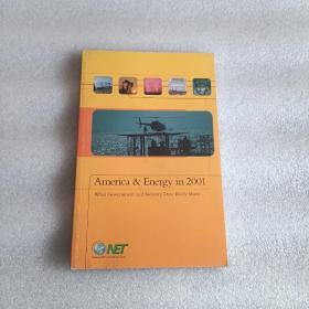 AmericaEnergyin2001  2001年的美国与能源