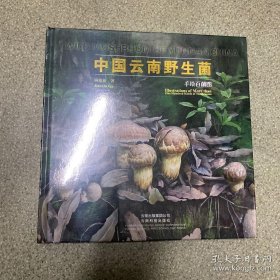 中国云南野生菌:手绘百菌图