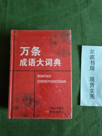 万条成语大词典（精装，包书膜未拆） 长19宽14