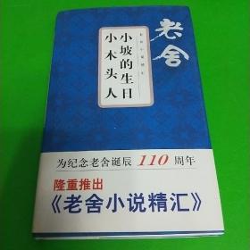 小坡的生日小木头人