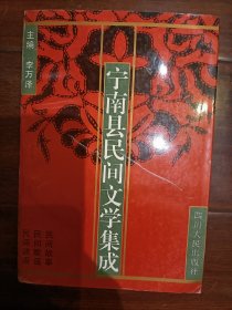 寧南縣民間文學(xué)集成