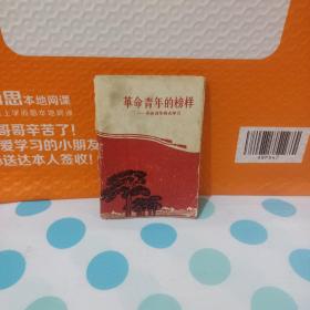 革命青年的榜样（向金训华同志学习）前60页是文章 后20页是连环画