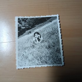 老照片–80年代漂亮女孩趴在草地上留影（1）