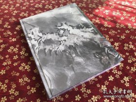 杨善深画集
