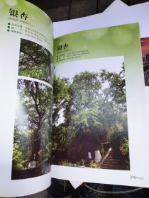 云台山木本植物图鉴