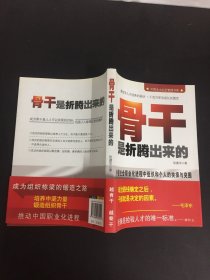 中国本土红色管理书系：骨干是折腾出来的