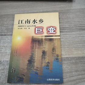 江南水乡巨变:向阳村工业化历程