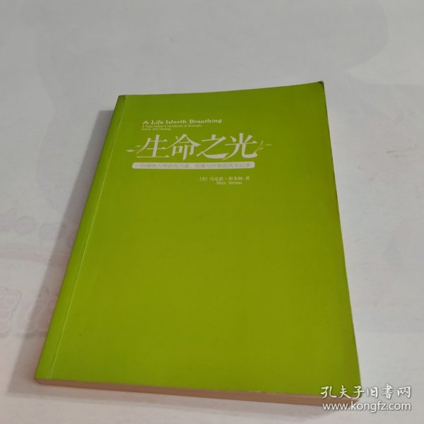 生命之光：一位瑜伽大师获得力量、优雅与疗愈的真实记录