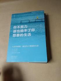 致奋斗者-你不努力谁也给不了你想要的生活+将来的你一定感谢现在拼命的自己+你若不勇敢谁替你坚强（3本）