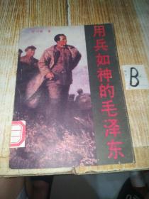 《用兵如神的毛泽东》（记录了毛泽东高超的战争指挥艺术）