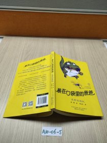 装在口袋里的爸爸．美梦制造机