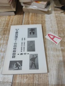 秘本五凤齐鸣二十六大母架图谱（影印本）（中）