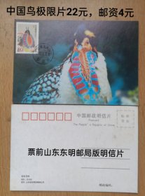 2002年中国鸟原地极限片