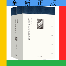 重读20世纪中国小说(共2册)(精)