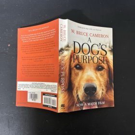 A Dog's Purpose 一条狗的使命 英文原版