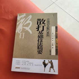 中国功夫散打系列：散打基础技法精要