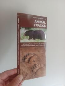 Animal Tracks: A Folding Pocket Guide to the Tracks & Signs of Familiar North American Species