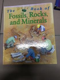 FOSSILS ROCKS and MINERALS