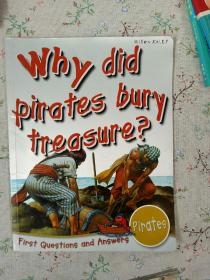 FIRST Q&amp;A: WHY PIRATES BURIED TREAS