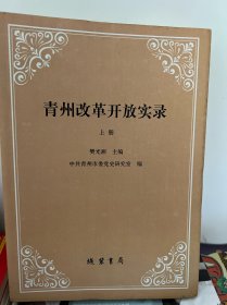 青州改革开放实录（上册）