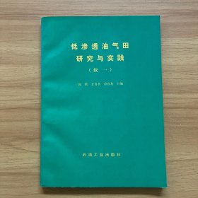 低渗透油气田研究与实践.续一