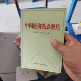 中国经济热点聚焦