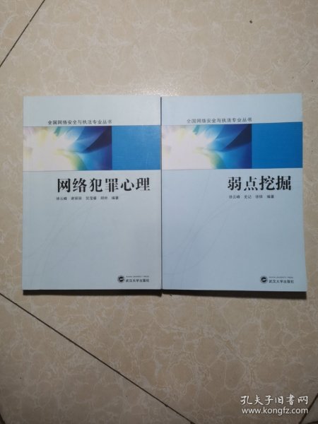 全国网络安全与执法专业丛书：网络犯罪心理