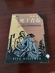 死于青春:一个年仅十九岁的警察的悲壮故事