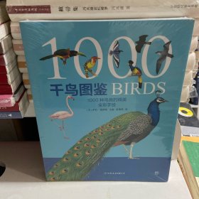 千鸟图鉴